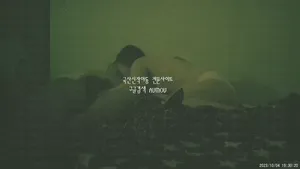 월세 대신 떡으로 월세받아가는 건물주.... 키스방건물주/질싸 서비스 해주는 키스방 혜진이 - 실시간 국산야동 한국야동