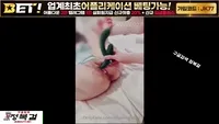묭 그녀들의쇼가 시작 된다 10탄 - 인기 한국야동 실시간 국산야동